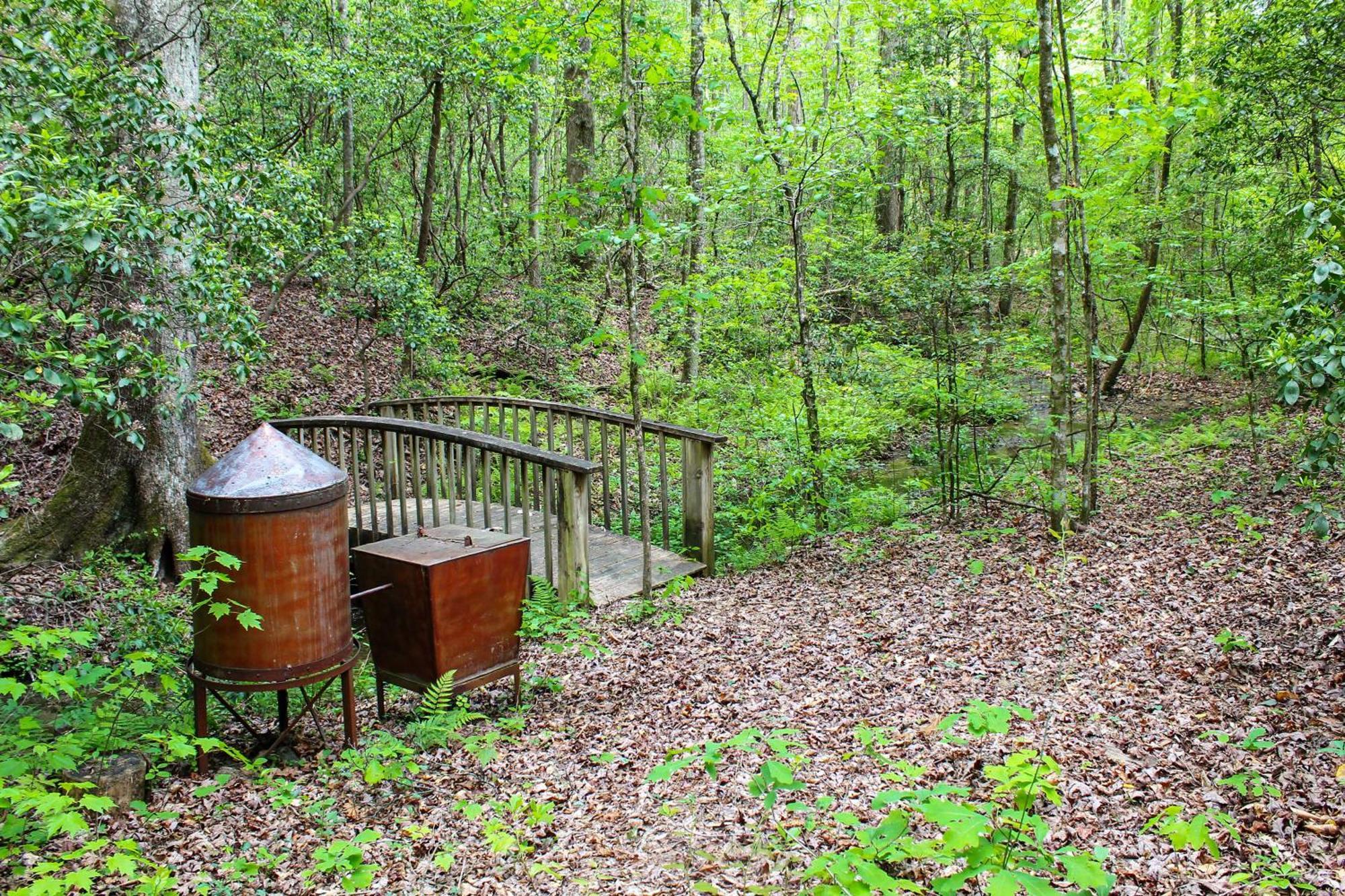 Sautee Nacoochee Mtn Paradise With Spacious Deck! Exterior foto